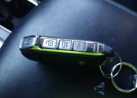 2020 Kia Telluride Ex from USA, damaged, VIN 5XYP3DHC0LG032165